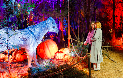 Harry Potter : A Forbidden Forest Expérience