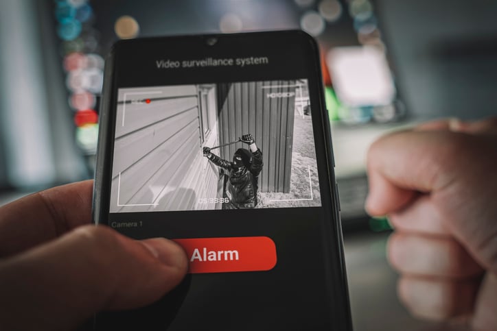 Un cambrioleur sur des images de vid&eacute;osurveillance