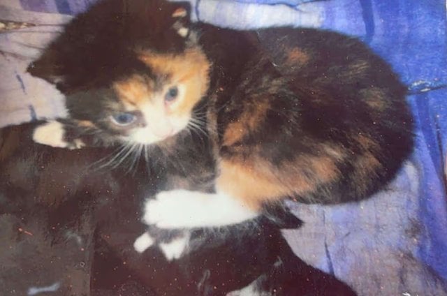 Gizzy quand elle &eacute;tait b&eacute;b&eacute;