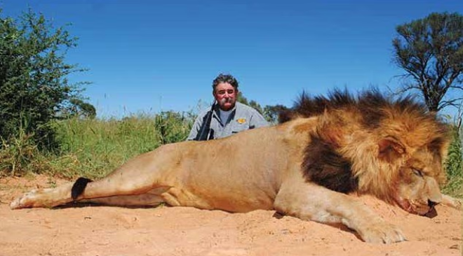 Le chasseur et un lion mort