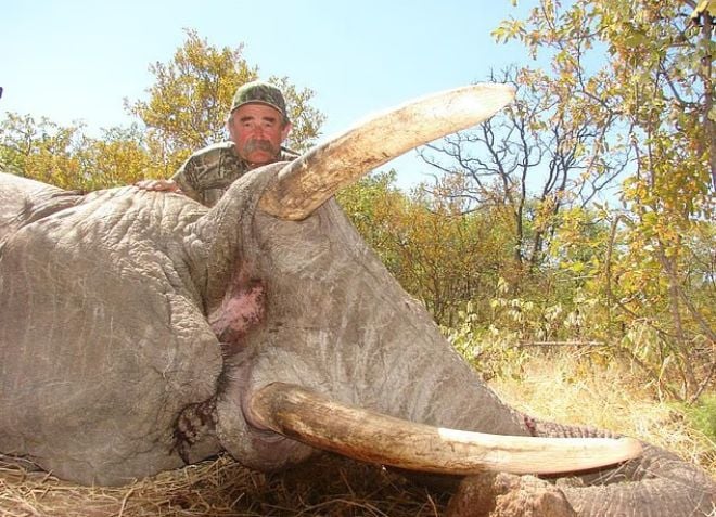 Le chasseur et un &eacute;l&eacute;phant mort