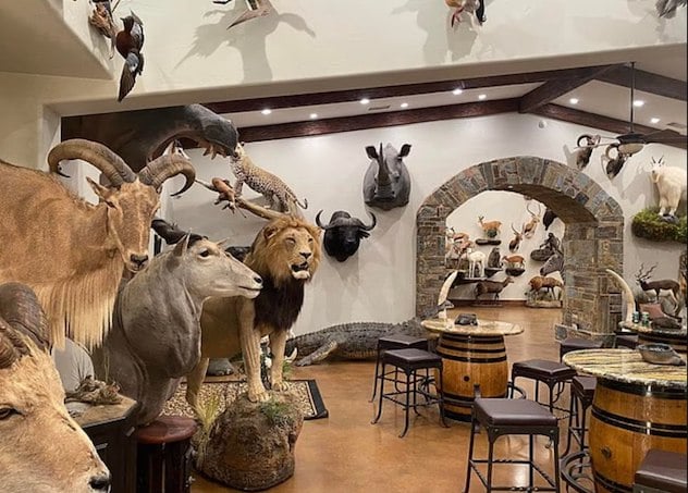 La salle des troph&eacute;es 