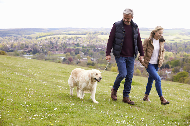 Un couple qui prom&egrave;ne son chien