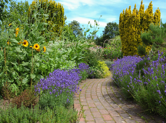 Une all&eacute;e de jardin