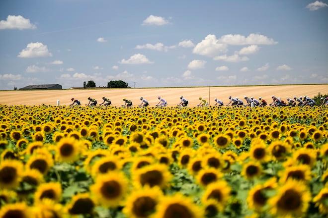 Photo de coureurs sur le Tour de France