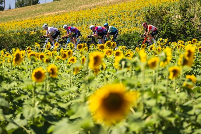 Photo de coureurs sur le Tour de France