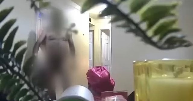 Capture d'&eacute;cran montrant le propri&eacute;taire en plein &eacute;bats sexuels 