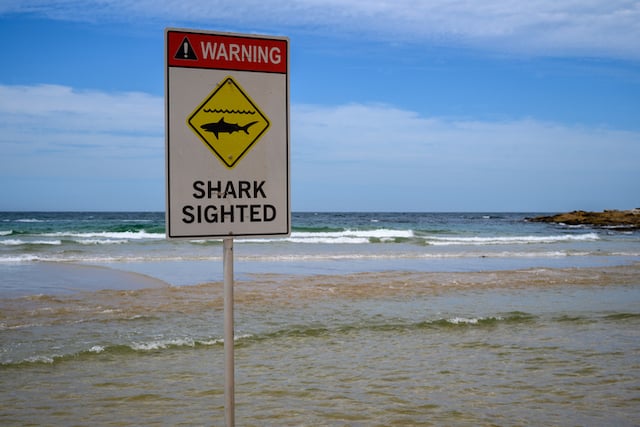 Panneau indiquant la pr&eacute;sence de requin sur une plage australienne