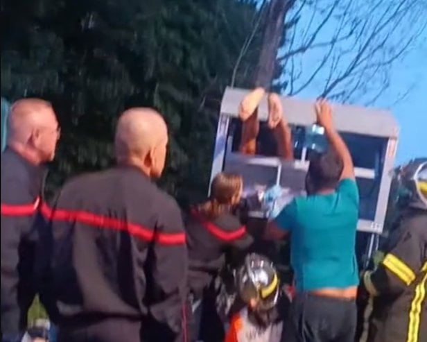 hoto montrant les pompiers en pleine intervention