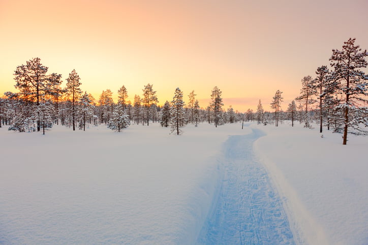 La Laponie en hiver
