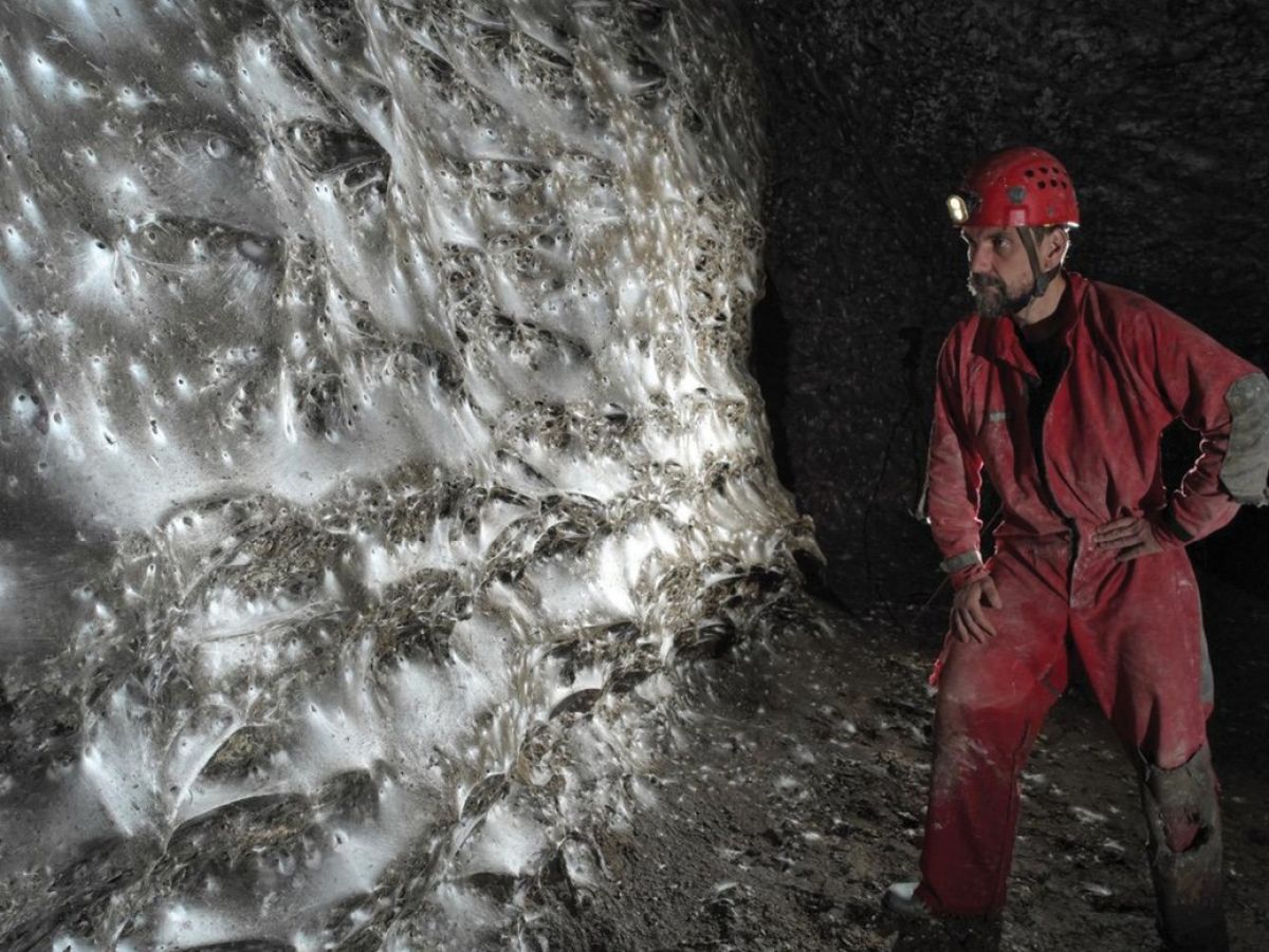 La plus grande toile d'araignée au monde