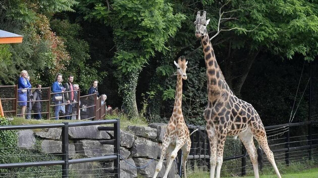 Les Terres de Nataé