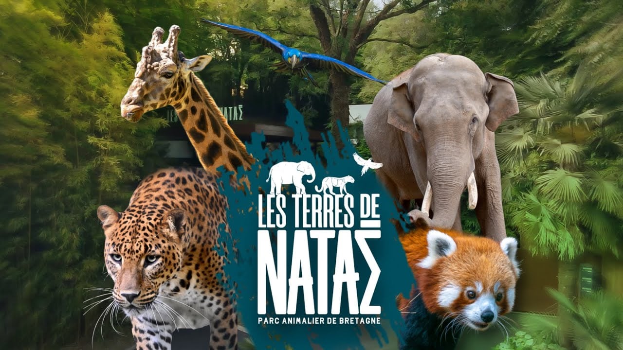Les Terres de Nataé, un parc animalier en Bretagne