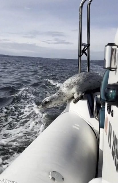 Capture d'écran Instagram