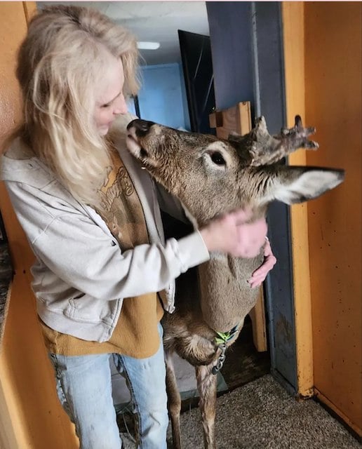 Jodi Proger et son cerf, Wheezer 