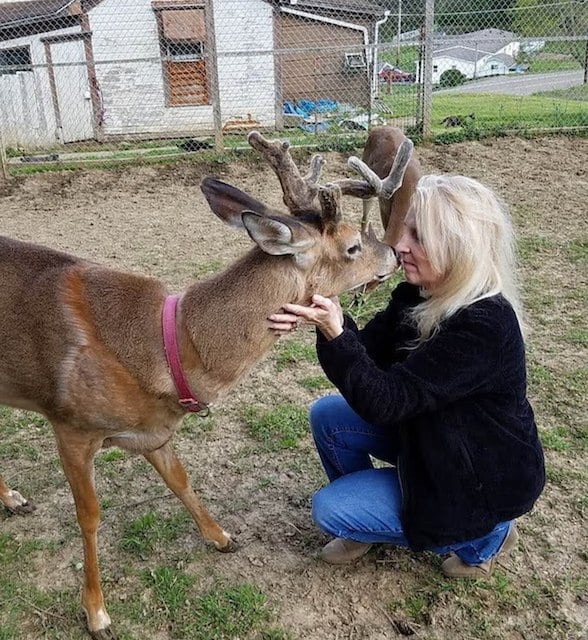 Jodi Proger et son cerf, Wheezer 