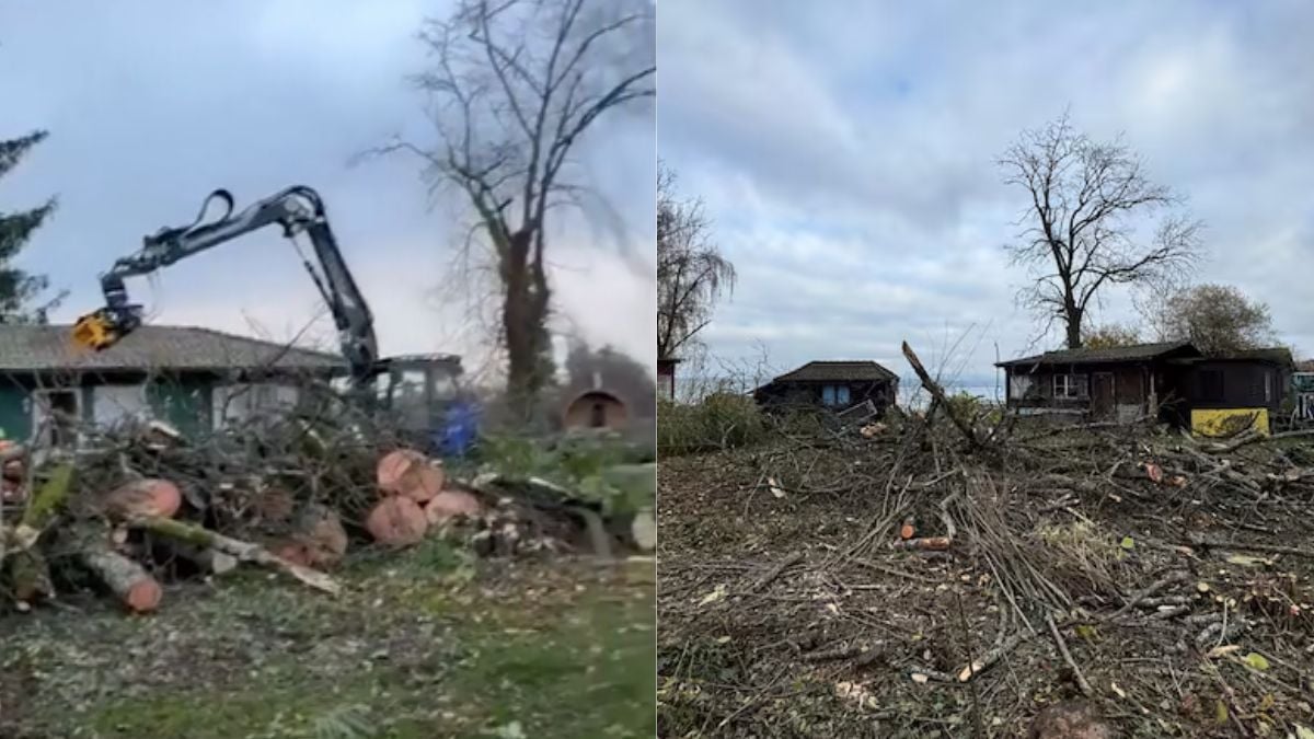 Destruction de bungalows sur la presqu'île « Im Schilf » à Freienbach, en Suisse
