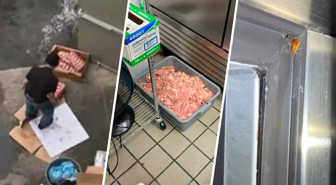 La vidéo virale sur TikTok