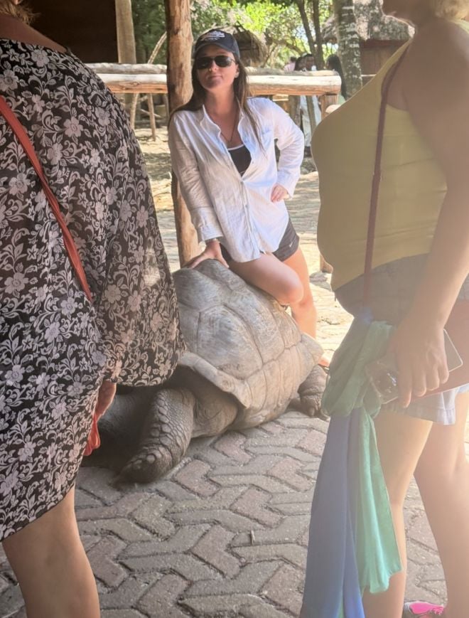 Une touriste sur le dos d'une tortue à Zanzibar