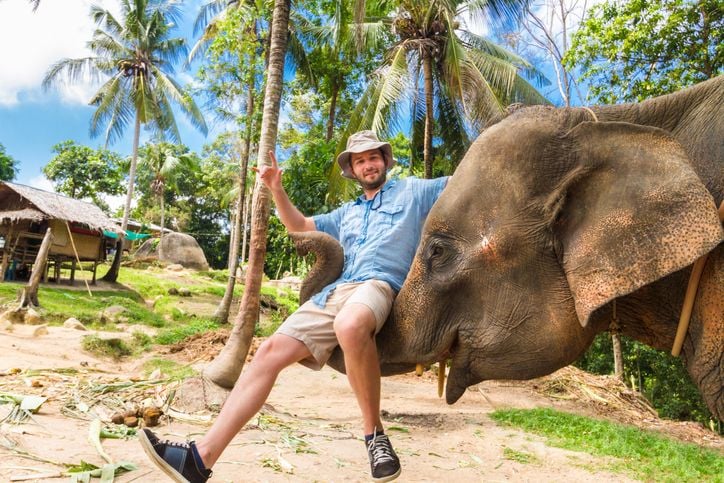 Un touriste sur la trompe d'un éléphant