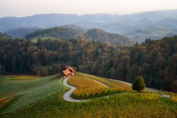 Un paysage en Slovénie