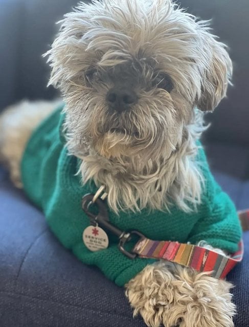 Oliver avant sa mort 