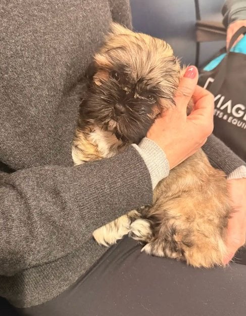 Vanessa Johnson et son chiot cloné 