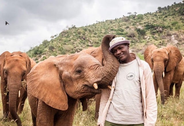 Sheldrick Wildlife Trust