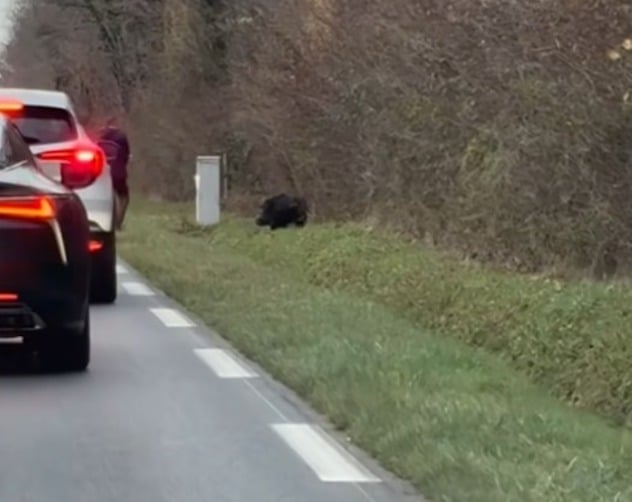 Capture d'écran Facebook 