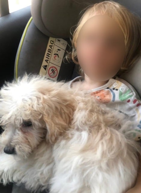 Leo, le petit garçon, tragiquement décédé 