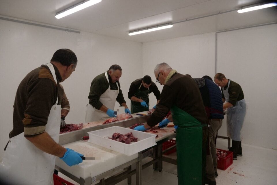 Des chasseurs préparent la viande de sanglier