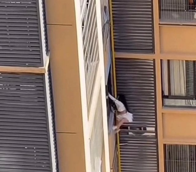 Capture d'&eacute;cran montrant la femme escalader l'immeuble 