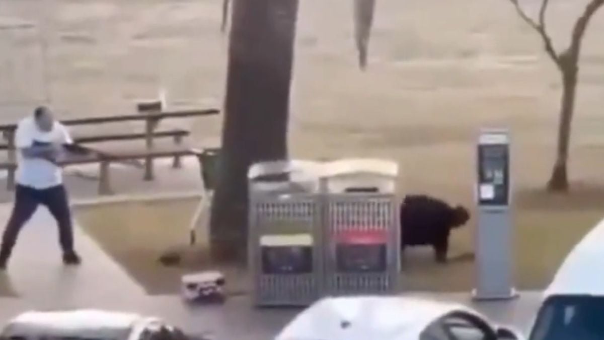 Image d'une vid&eacute;o montrant Ahmed el Ahmed d&eacute;sarmant l'un des assaillants de l'attaque terroriste perp&eacute;tr&eacute;e &agrave; Sydney, le 14 d&eacute;cembre 2025