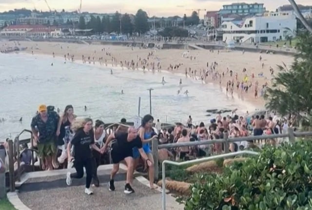Des personnes fuient la plage apr&egrave;s la fusillade 