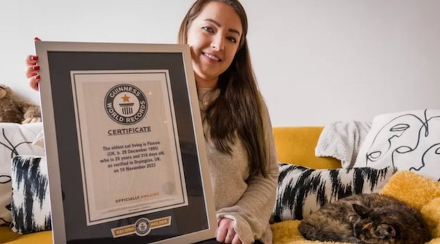 Flossie, le chat le plus &acirc;g&eacute; au monde et sa ma&icirc;tresse Vicki 