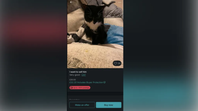 L'annonce sur Vinted