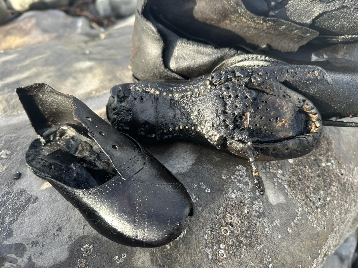 Des chaussures datant du XIX&egrave;me si&egrave;cle retrouv&eacute;es &eacute;chou&eacute;es sur une plage