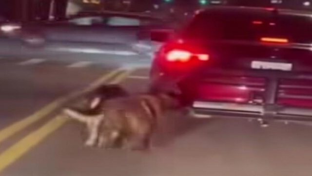 Capture d'&eacute;cran X