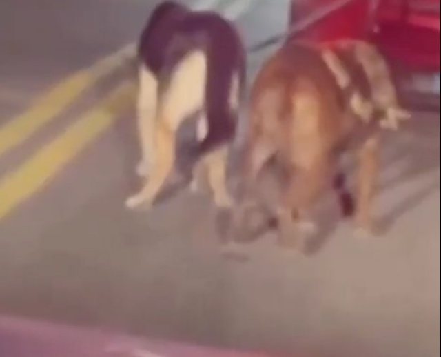 Capture d'&eacute;cran X