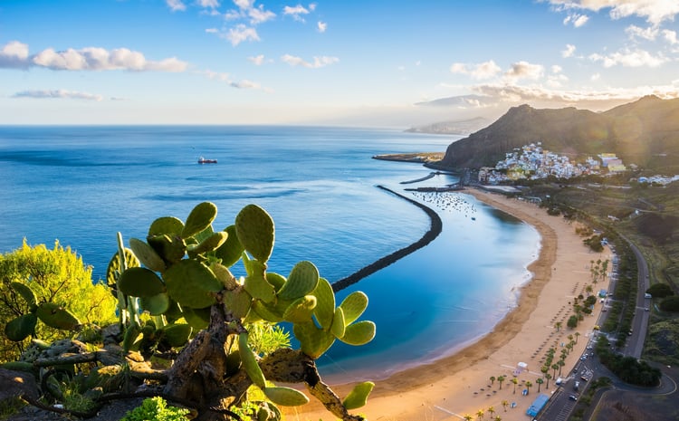 Une plage des &icirc;les Canaries