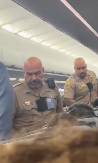 Capture d'&eacute;cran Instagram 