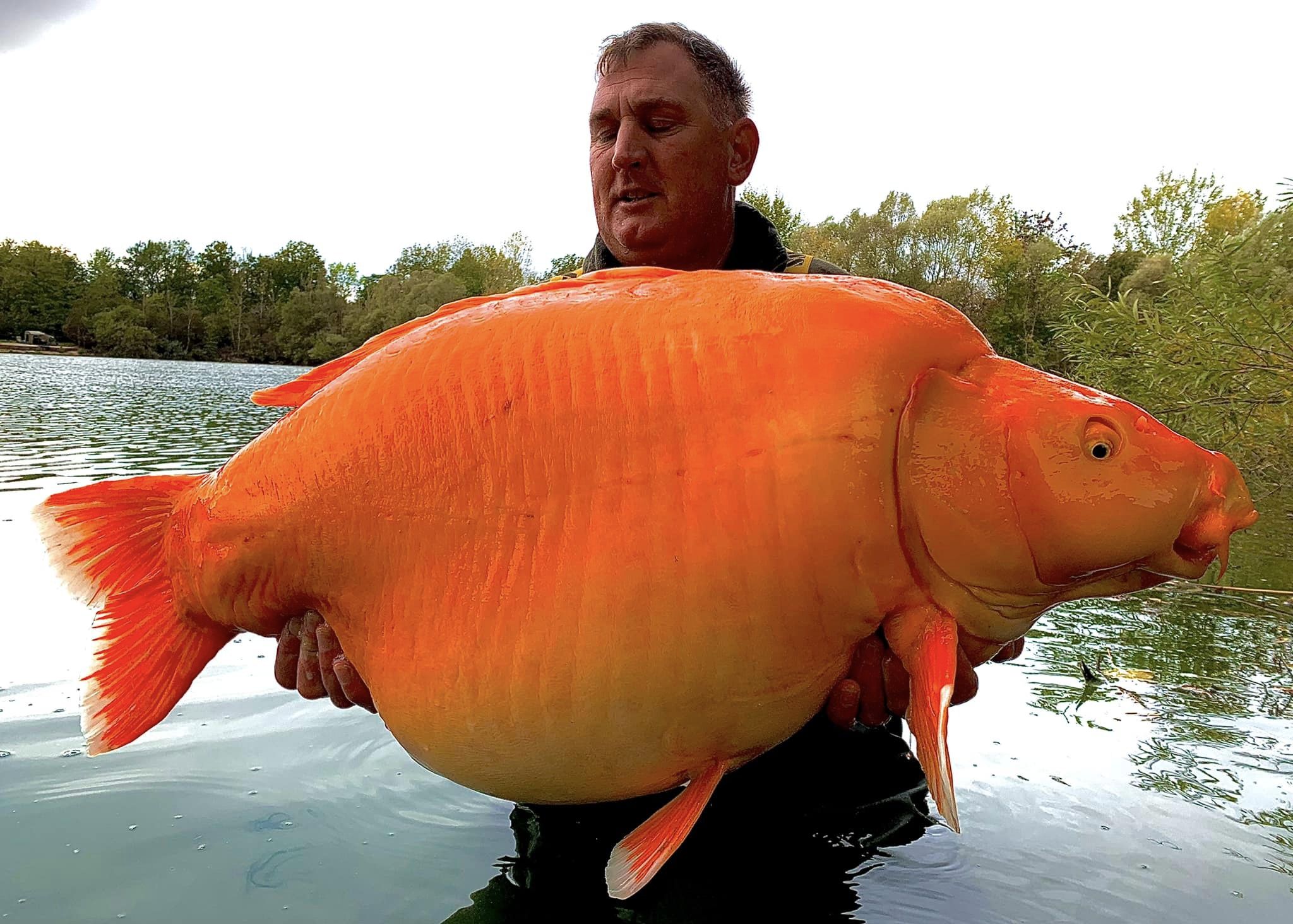 Incroyable, il pêche un poisson géant de 127 kg