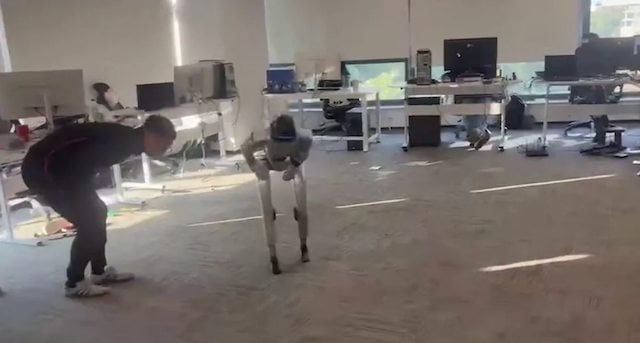 Capture d'&eacute;cran YouTube