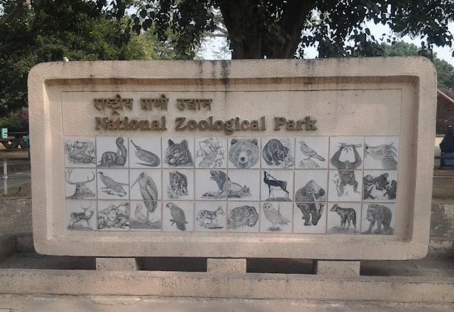 Zoo de Delhi, en Inde 