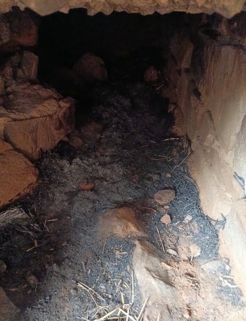 Photo de l'enclos de l'ours