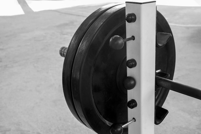 Halt&egrave;re de musculation 