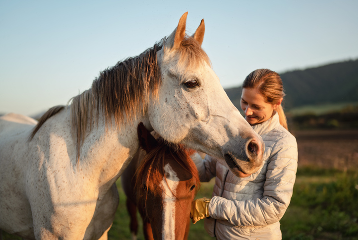 Une femme et un cheval