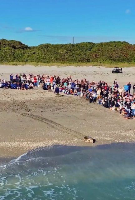 Capture d'&eacute;cran Facebook