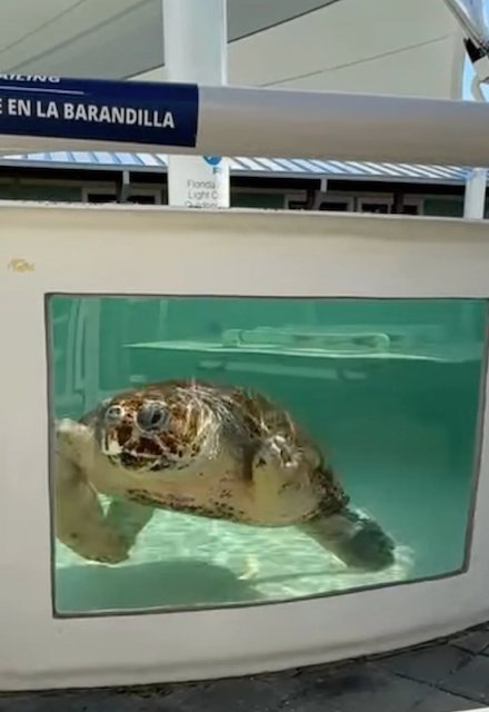 Capture d'&eacute;cran Facebook