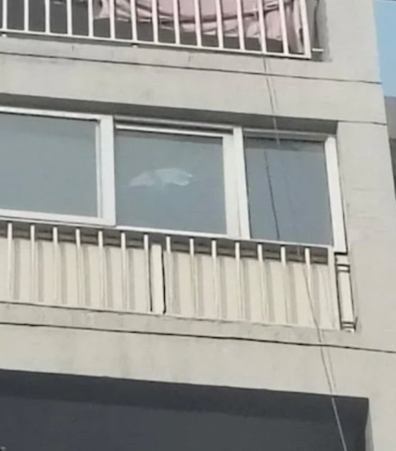 Le balcon depuis lequel les filles ont saut&eacute;